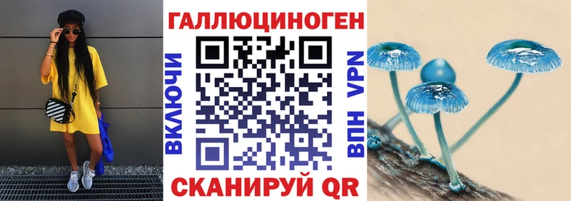Псилоцибиновые грибы MAGIC MUSHROOMS Бабушкин