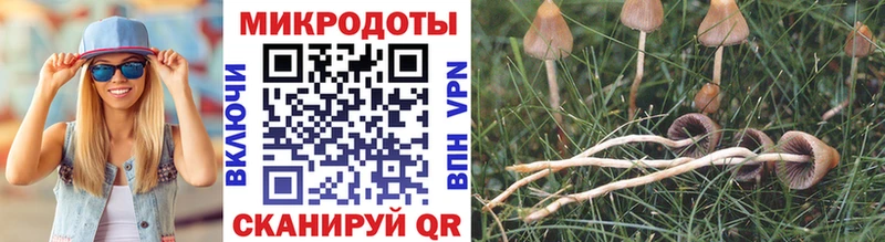 Галлюциногенные грибы GOLDEN TEACHER  Бабушкин 